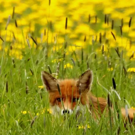 Apartment Sauerland-almwinterberg