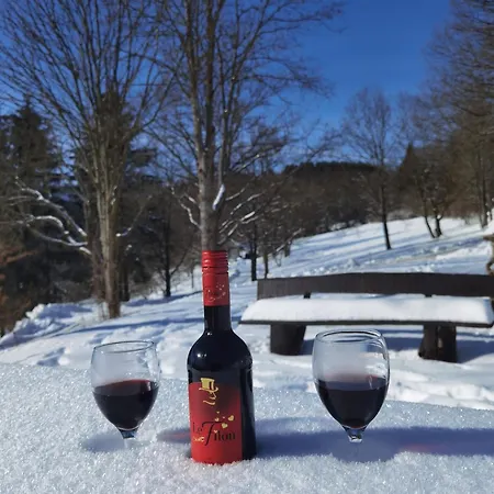 Sauerland-almwinterberg *