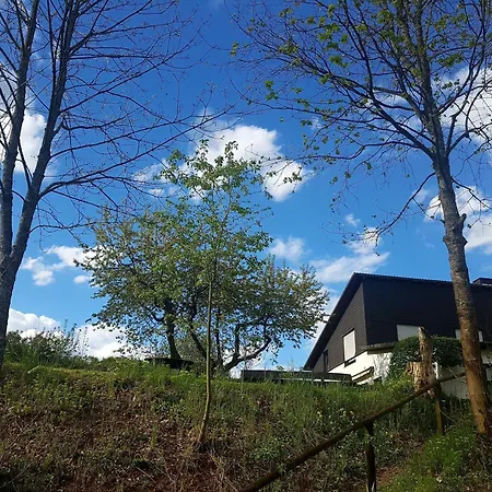 Sauerland-almwinterberg Apartment *