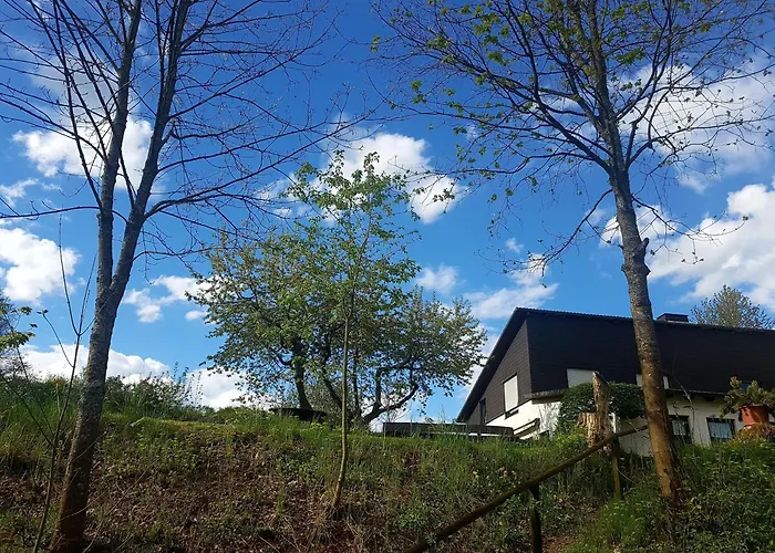 Sauerland-alm Apartment *